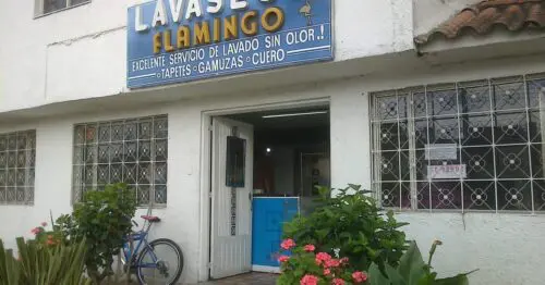 LAVASECO FLAMINGO EL ENCANTO LAVASECO FLAMINGO EL ENCANTO